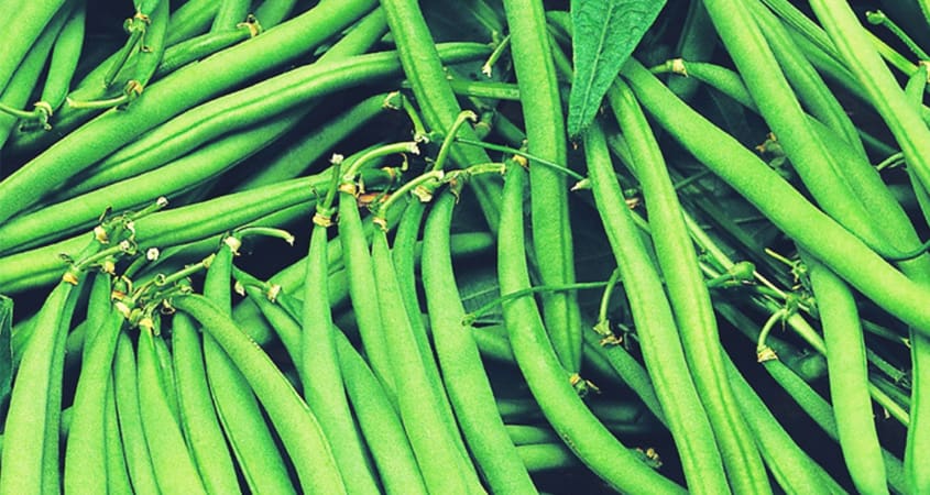 buy french beans from frutplanet