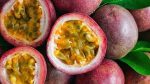Frutplanet passion fruit exporters