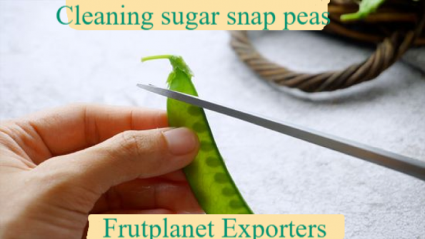 Cleaning sugar snap peas and Cutting the Pod’s ends