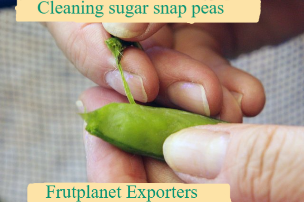 Cleaning sugar snap peas and removing strings