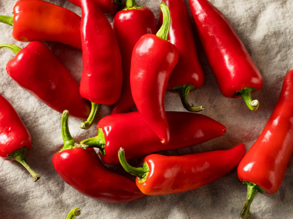 Red Cayenne Pepper exporters from Kenya