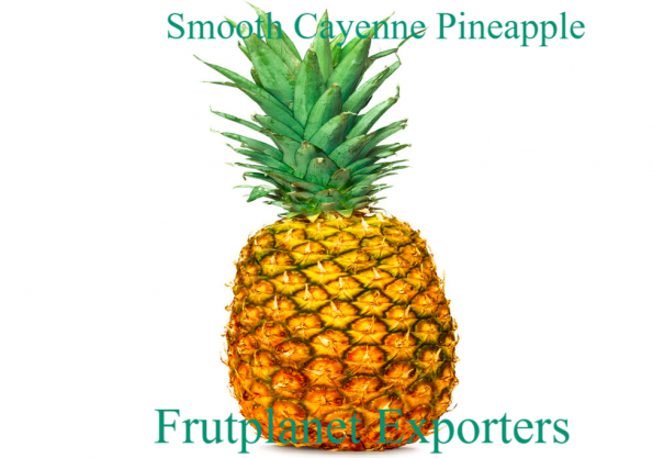 Smooth Cayenne Pineapples at Frutplanet exporters