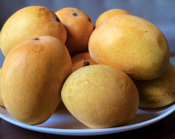 Fresh Mangoes export services at frutplanet