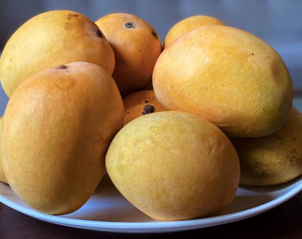 Fresh mangoes supplier