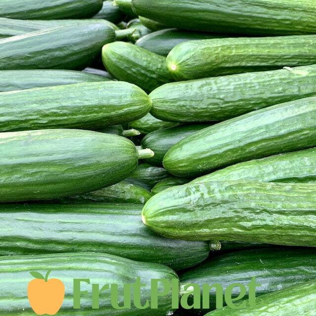 buy bulk cucumber