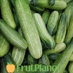buy cucumber online