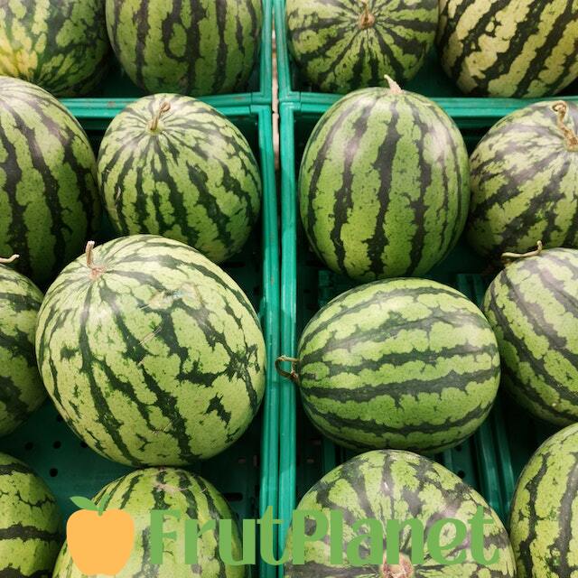 cross-border packed ripe watermelon