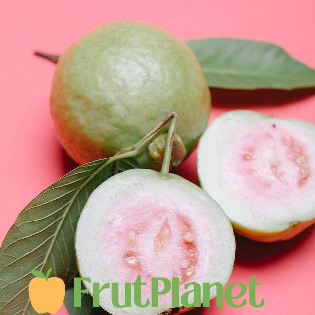 Køb guava frugter online