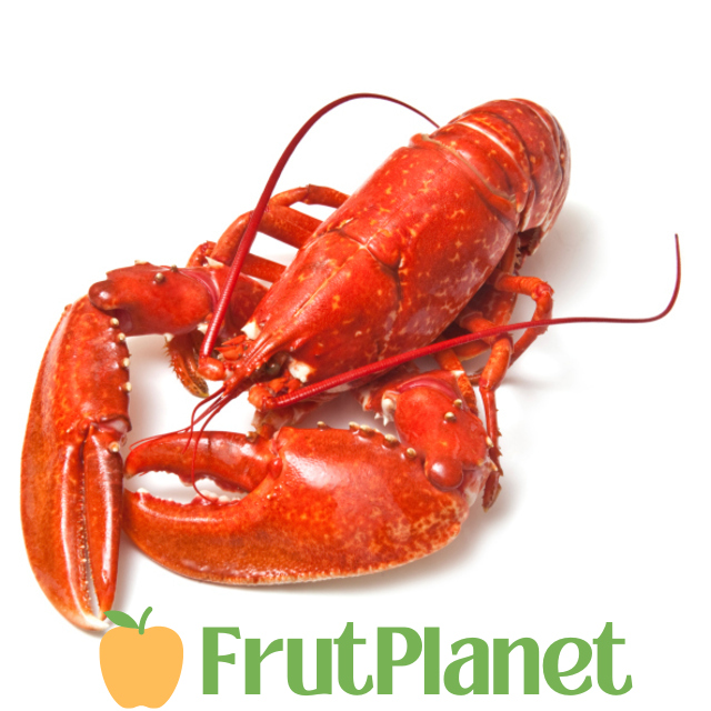 buy crustaceans online