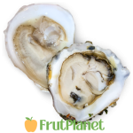 buy oysters online