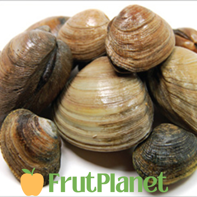 Order Clams Online