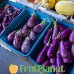 buy Eggplant online