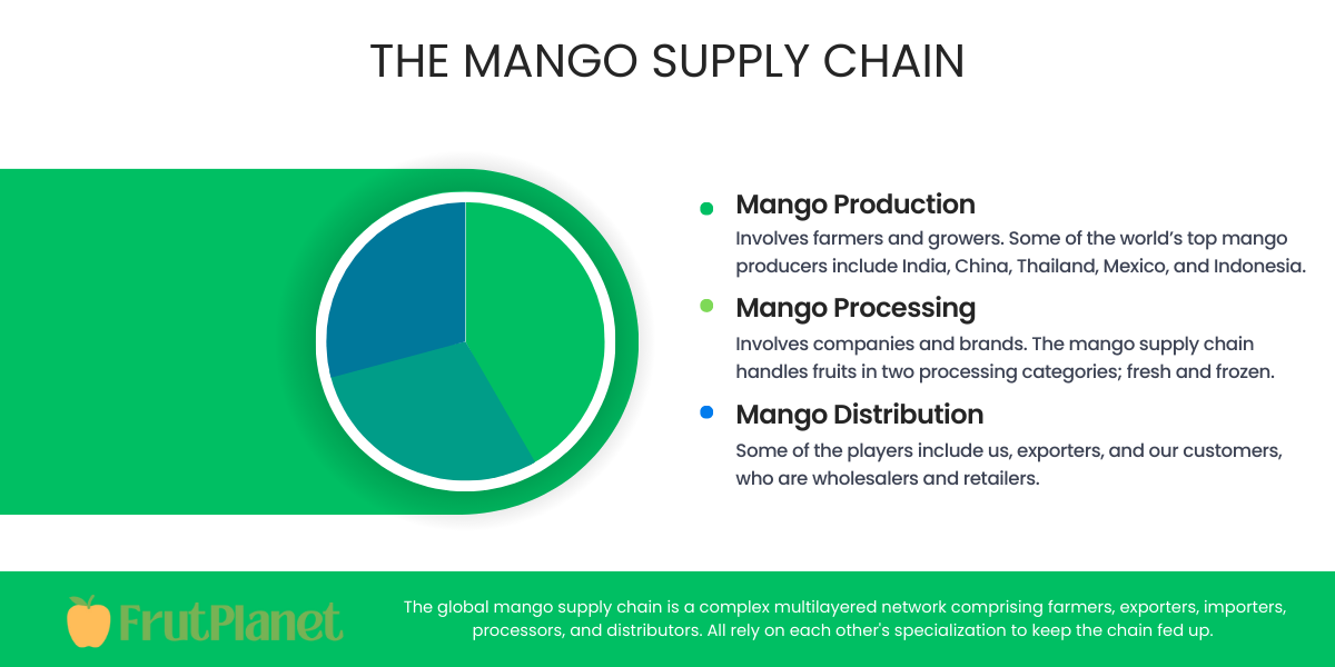 percentage mango supply chain