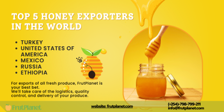 The Importance of Sourcing High-Quality Bulk Honey