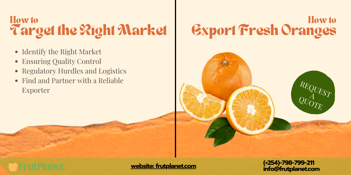 How to Export Oranges