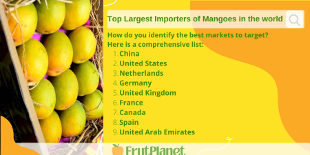 Sourcing Mangoes: A Look at the Mango Supply Chain