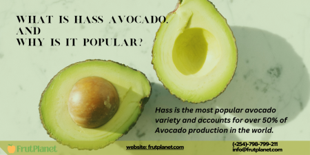 How to Identify and Distinguish Between Hass Avocado Varieties