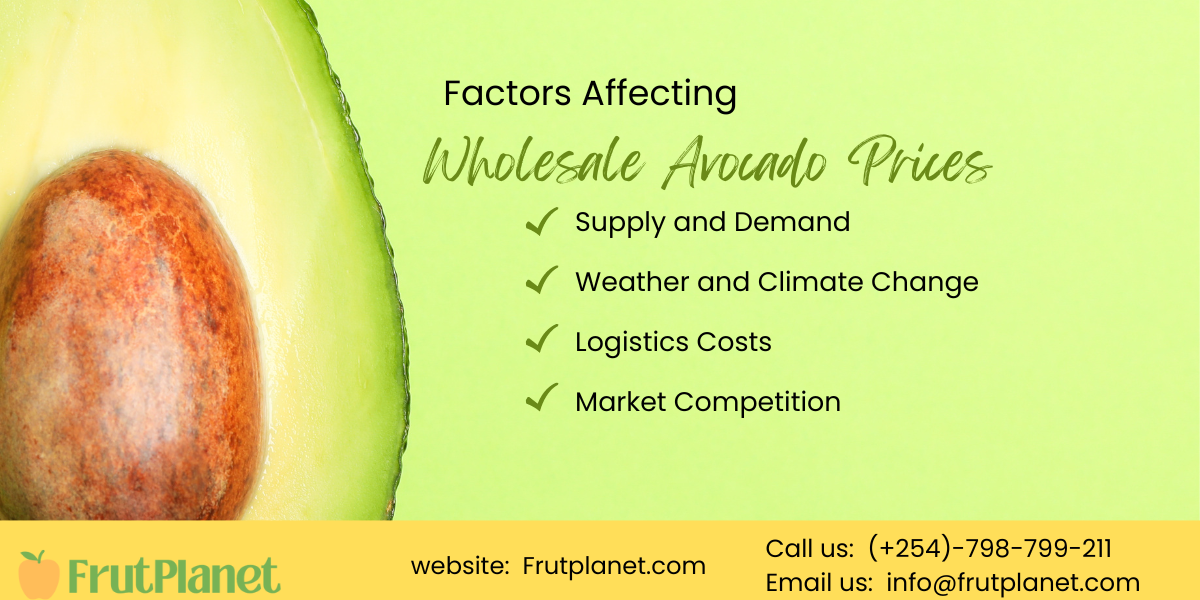 Factors Affecting Wholesale Avocado Prices
