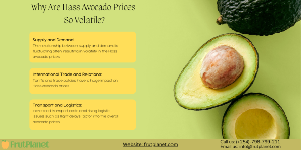 Why Hass Avocado Prices Are So Volatile