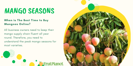 Tips for Sourcing the Best Mangoes for Export