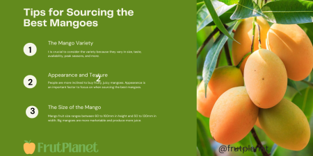 The Top Largest Importers of Mangoes in the world