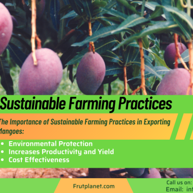 可持续农业实践对出口芒果的重要性