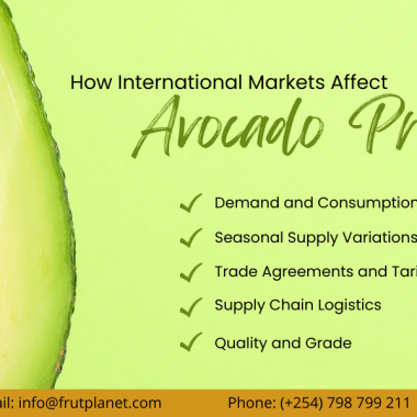 Global Trends: How International Markets Affect Avocado Prices per Kg