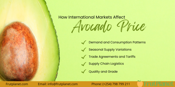 avocado prices per kg