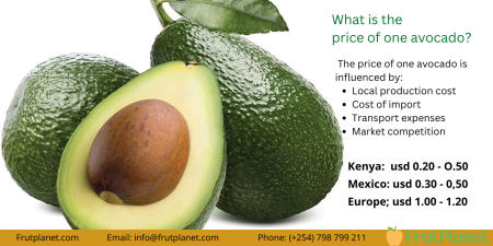 Top 9 Largest Avocado Companies that Export in Kenya