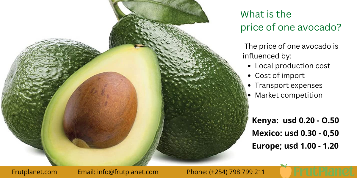 price of one avocado