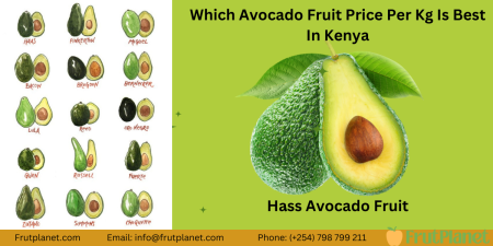 Top 9 Largest Avocado Companies that Export in Kenya