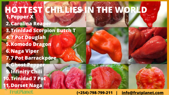 List of the Hottest Chillies in the World poster