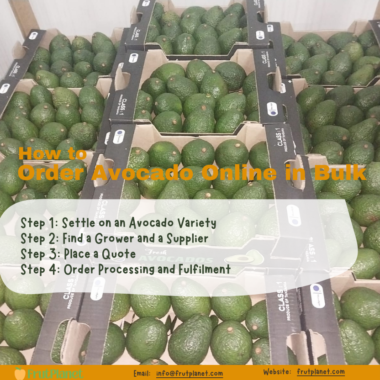 How to Order Avocado Online in Bulk Globally