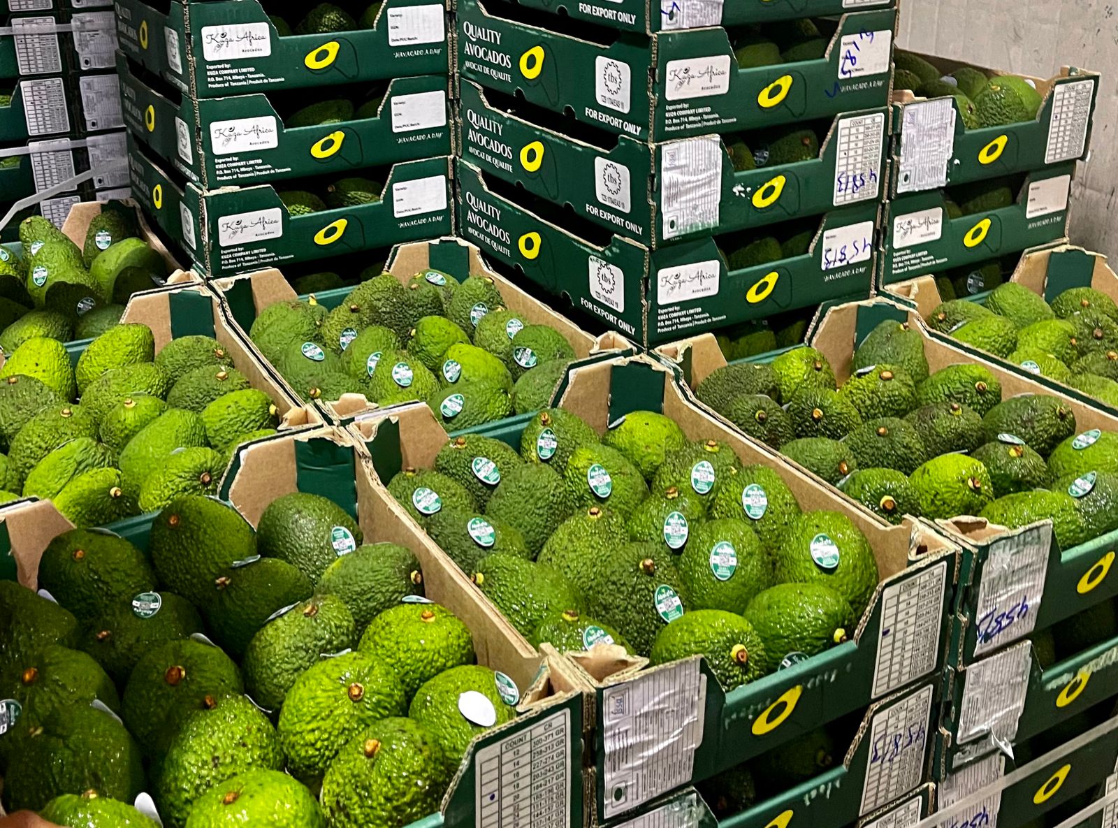 Avocado retail price display in an urban produce market showing per-kg pricing tiers across different quality grades