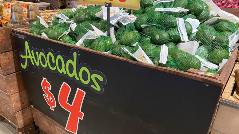 Avocado price in Qatar market wholesale retail import