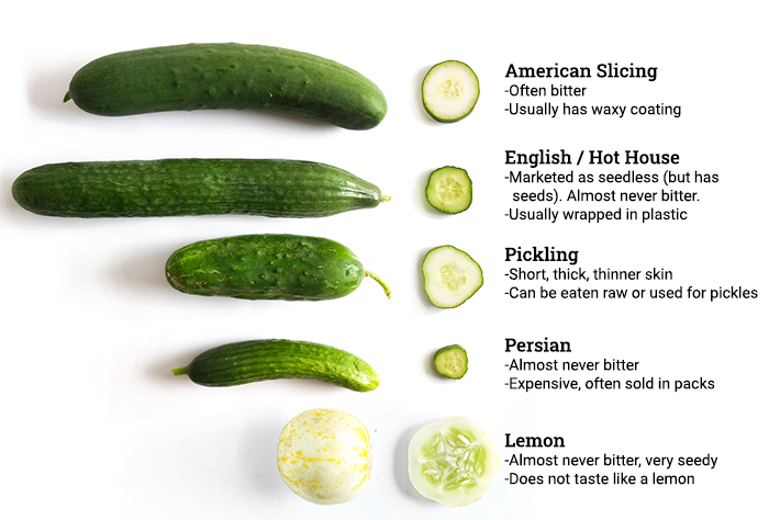 Different cucumber varieties displayed including English, Persian, and standard slicing types with individual price tags showing variety-specific pricing