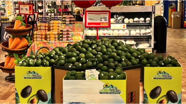 European supermarket avocado retail display showing Hass variety pricing signage promotional offers consumer selection