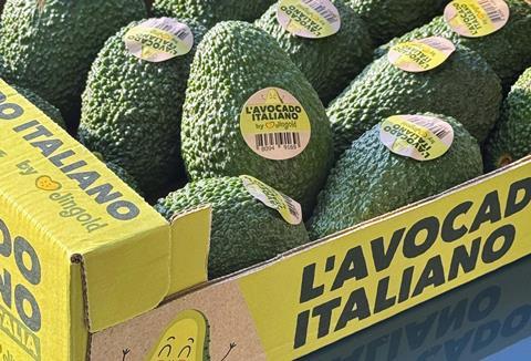Fresh avocados in Italian market showing price variations