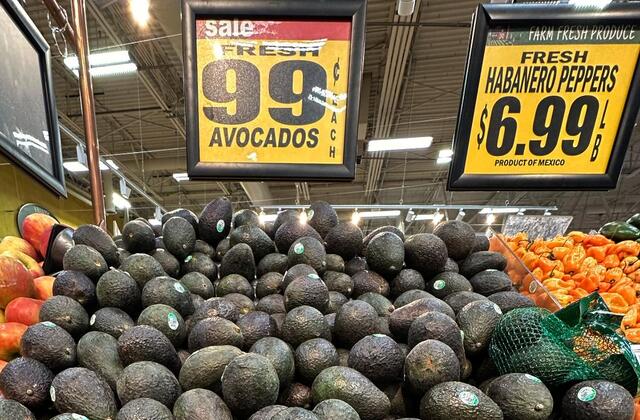 Fresh avocados showing Canadian market pricing