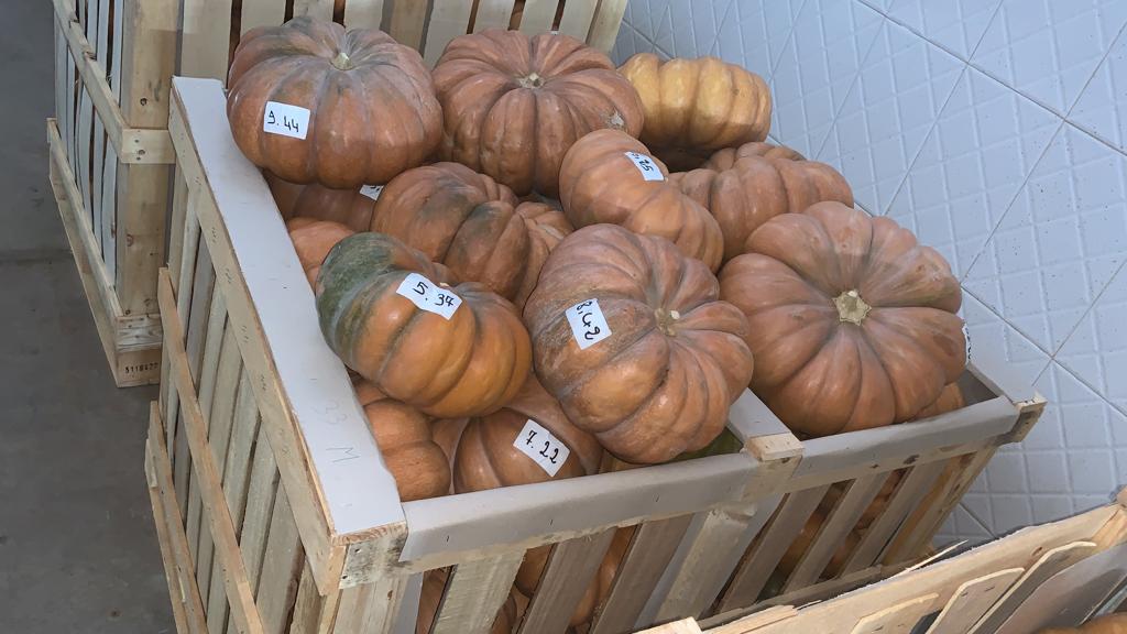 Fresh pumpkins at market showing price variations per kg