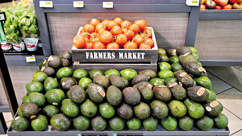Avocado display showing variety and pricing options in European retail — context for Spain's dual producer-importer market position