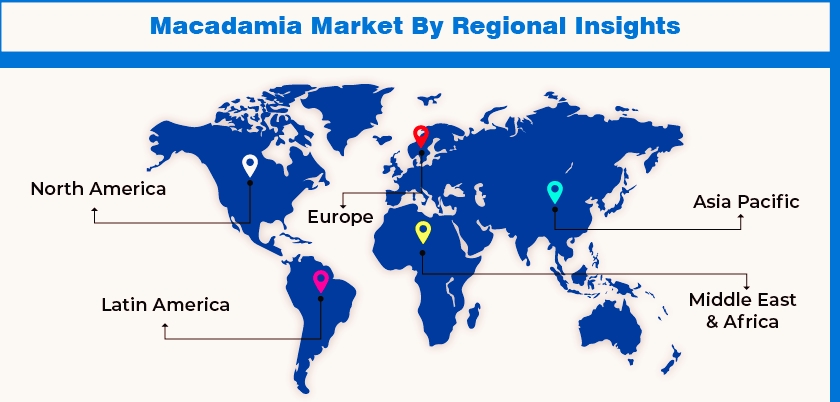 Global macadamia export routes visualization map displaying major shipping lanes from Kenya to international markets including Europe, North America, and Asia with statistics showing Kenya's position as third largest exporter worldwide