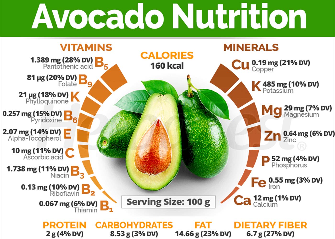 Infographic showing Hass avocado nutritional breakdown with colorful pie charts displaying fat protein carbohydrate percentages and key vitamin mineral content including potassium folate and copper