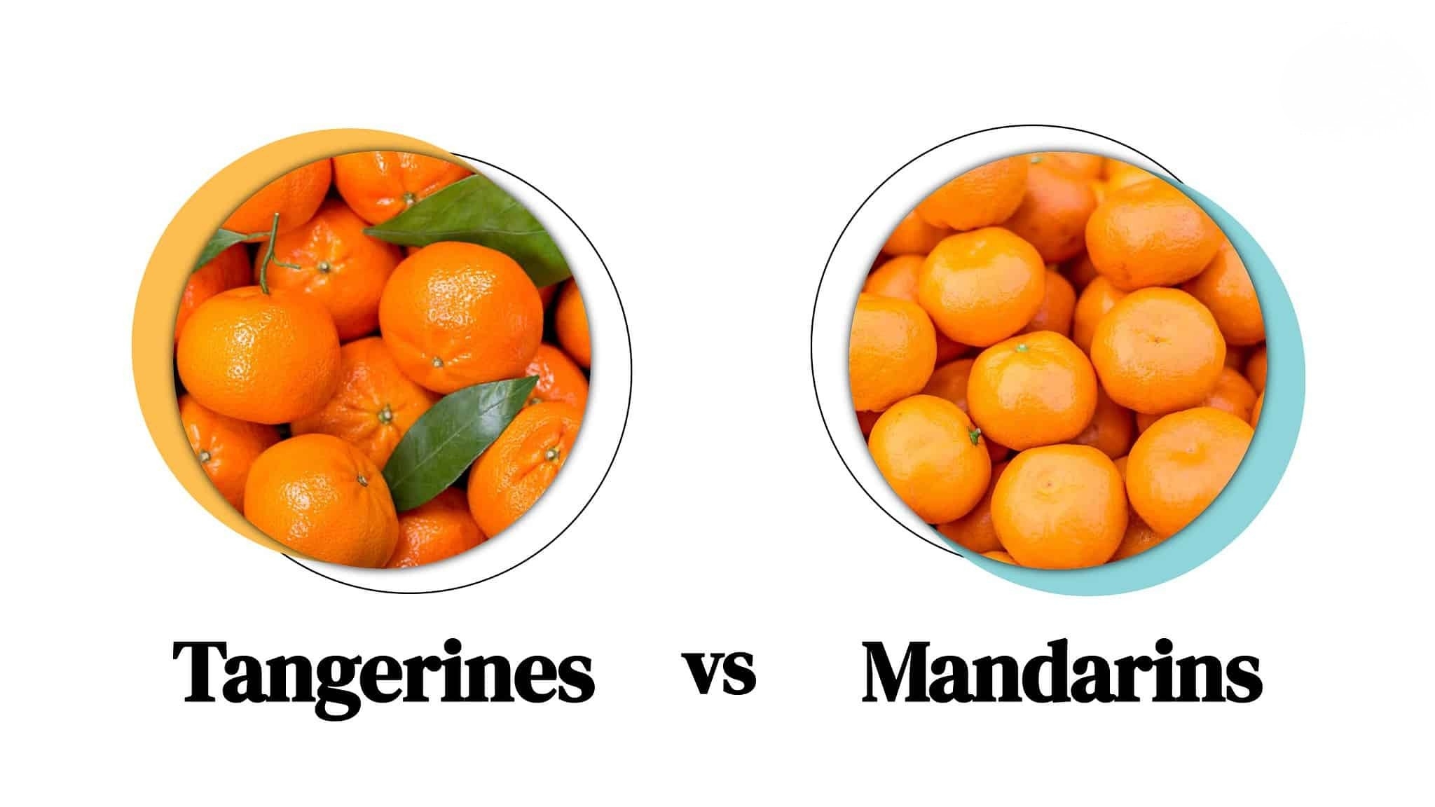 Mandarin and tangerine orange varieties Kenya showing easy peel skin soft texture seedless characteristics fresh market appeal