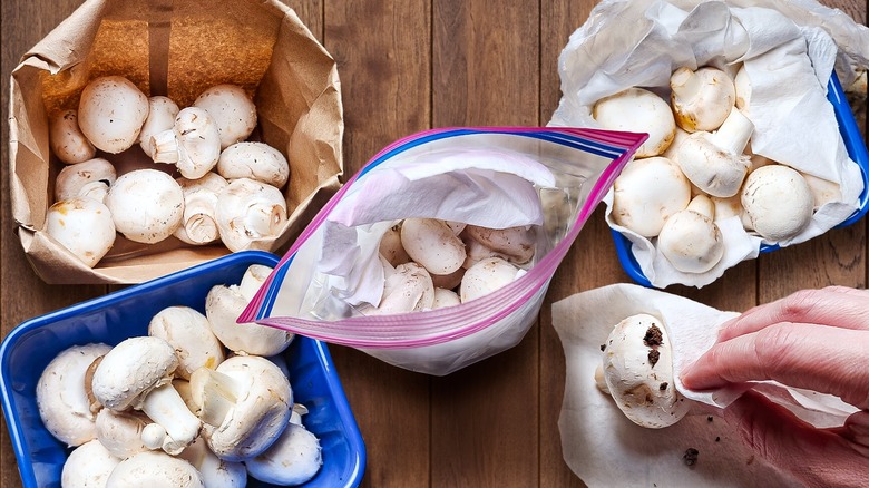 Mushroom storage preservation methods Kenya showing fresh refrigerated and dried mushrooms for extended shelf life