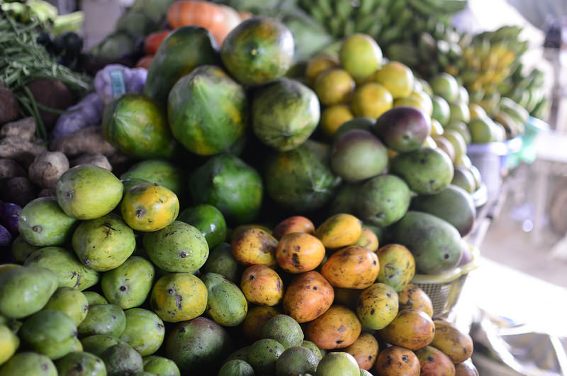 Nigerian market stalls with various mango varieties during peak season