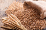 Premium Wheat Supplier | Buy Quality Wheat in Bulk Online