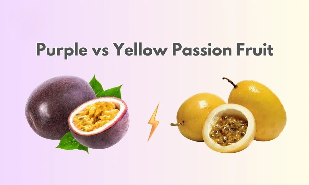 Purple and yellow passion fruit varieties showing price differences