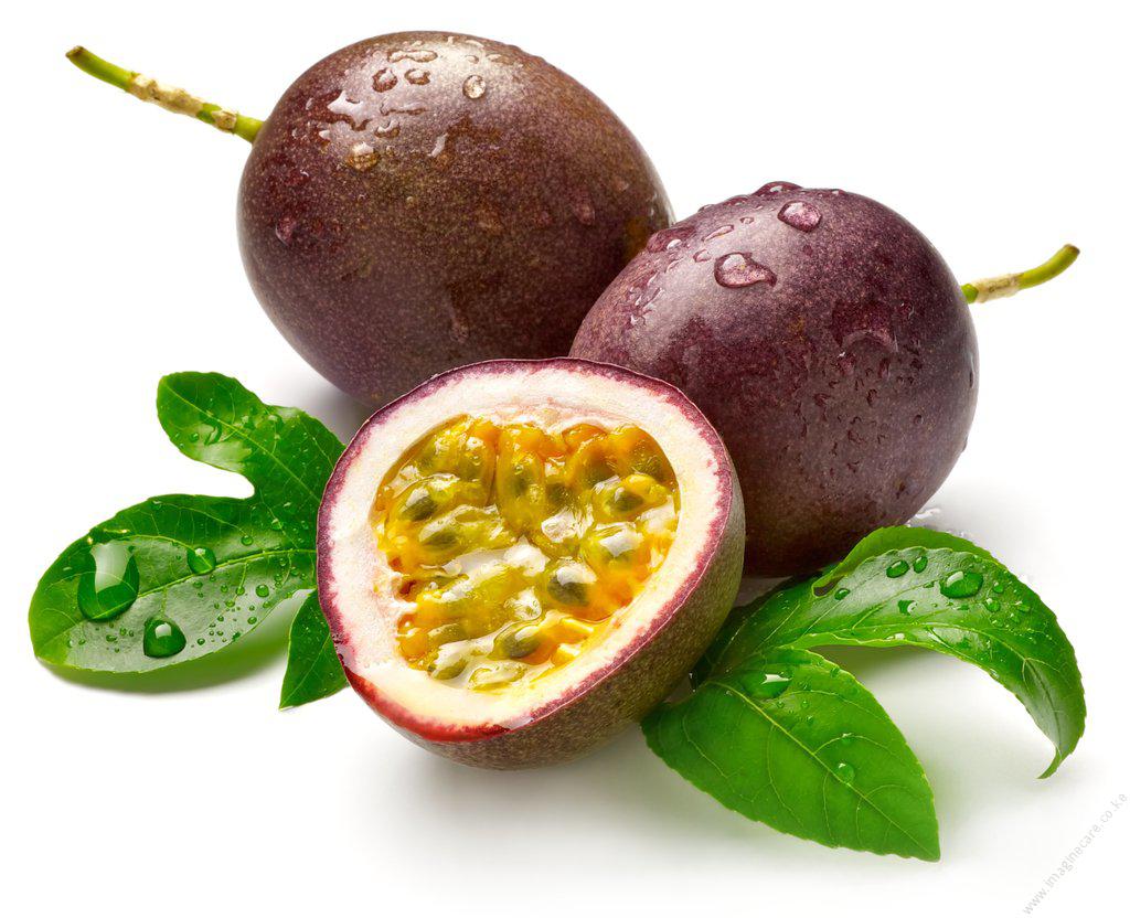 Purple passion fruit growing on vine in Kenya highland farm showing proper trellis system and fruit development
