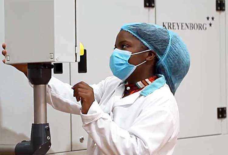Quality control laboratory technician examining macadamia kernels under magnification equipment testing for moisture content, aflatoxin levels, and defect rates to ensure premium grade nuts meet international certification standards GlobalGAP HACCP ISO compliance